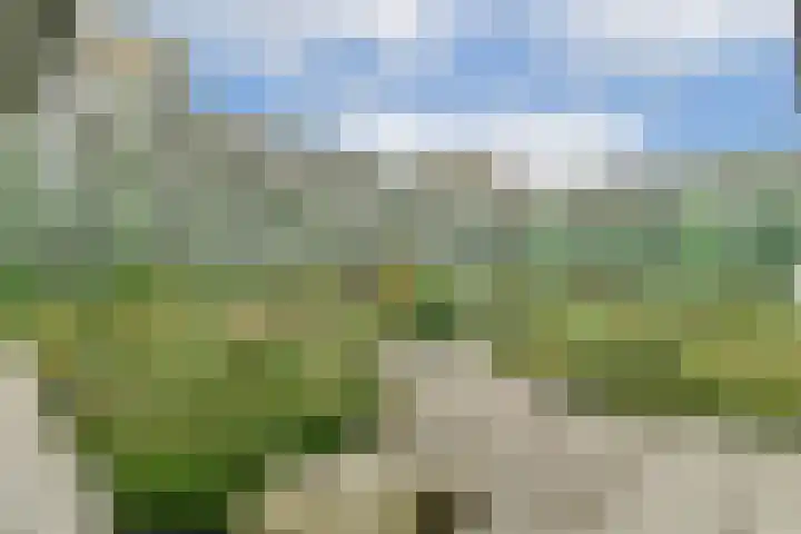 Mangoweg 187 Leiden thumbnail 28