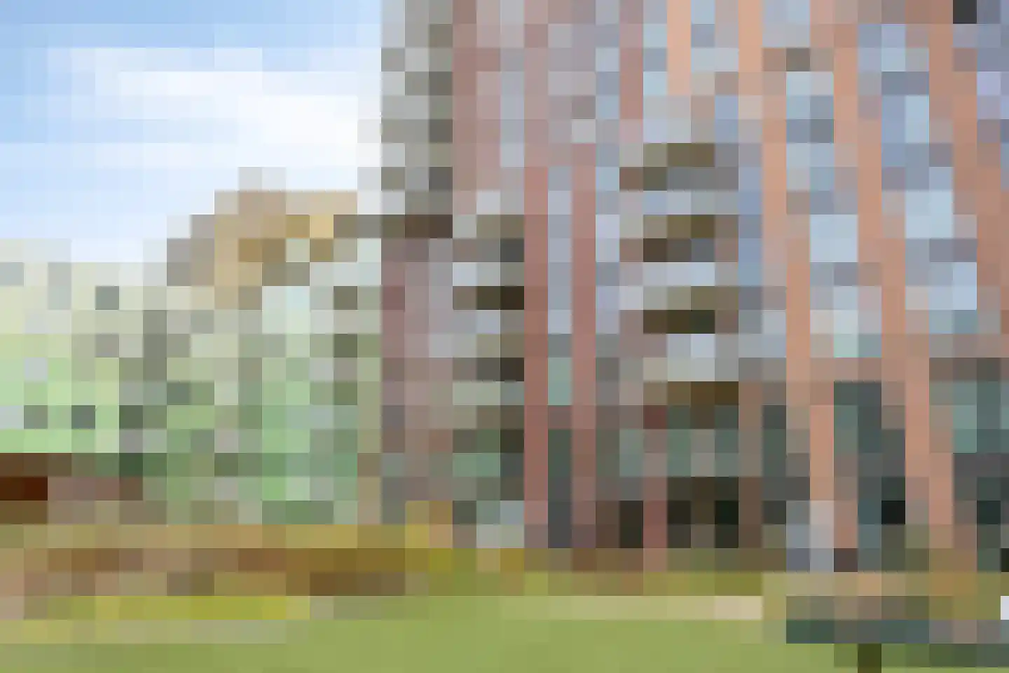 Mangoweg 189 Leiden thumbnail 22