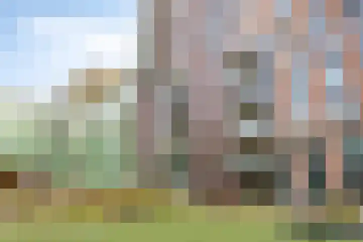 Mangoweg 189 Leiden thumbnail 22