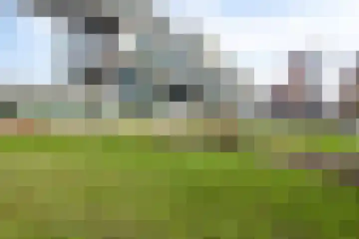 Mangoweg 189 Leiden thumbnail 23