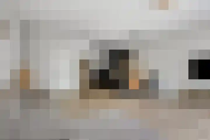 Mangoweg 189 Leiden thumbnail 8