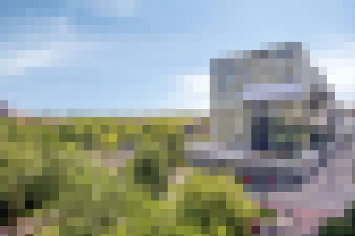 Mangoweg 233 Leiden thumbnail 39