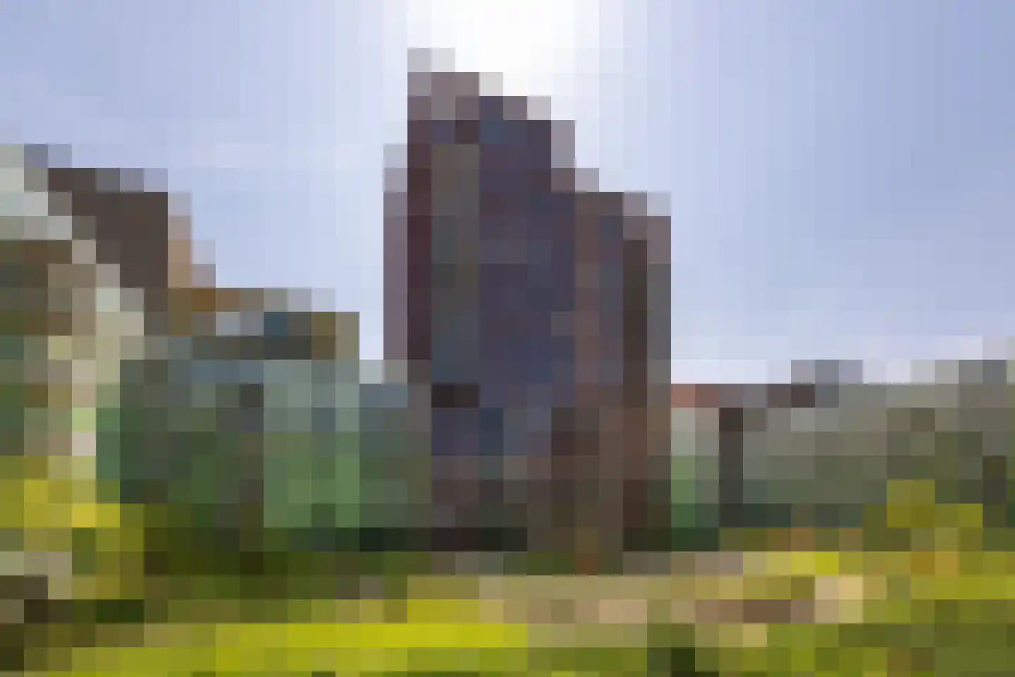 Mangoweg 247 Leiden thumbnail 25