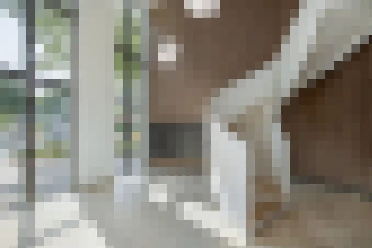 Mangoweg 247 Leiden thumbnail 29