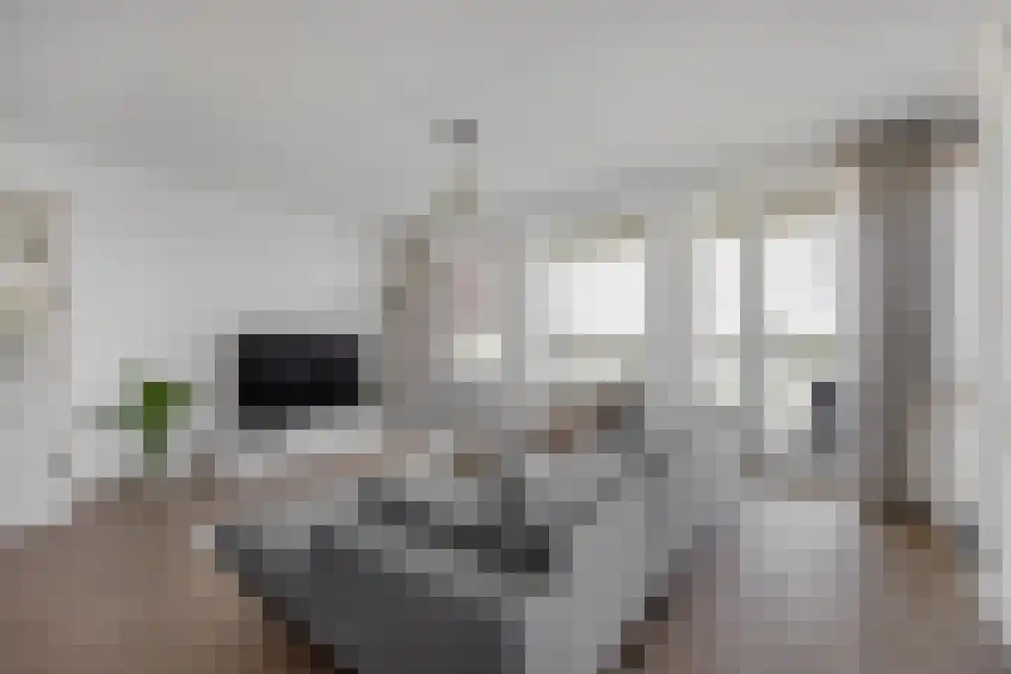 Mangoweg 247 Leiden thumbnail 6