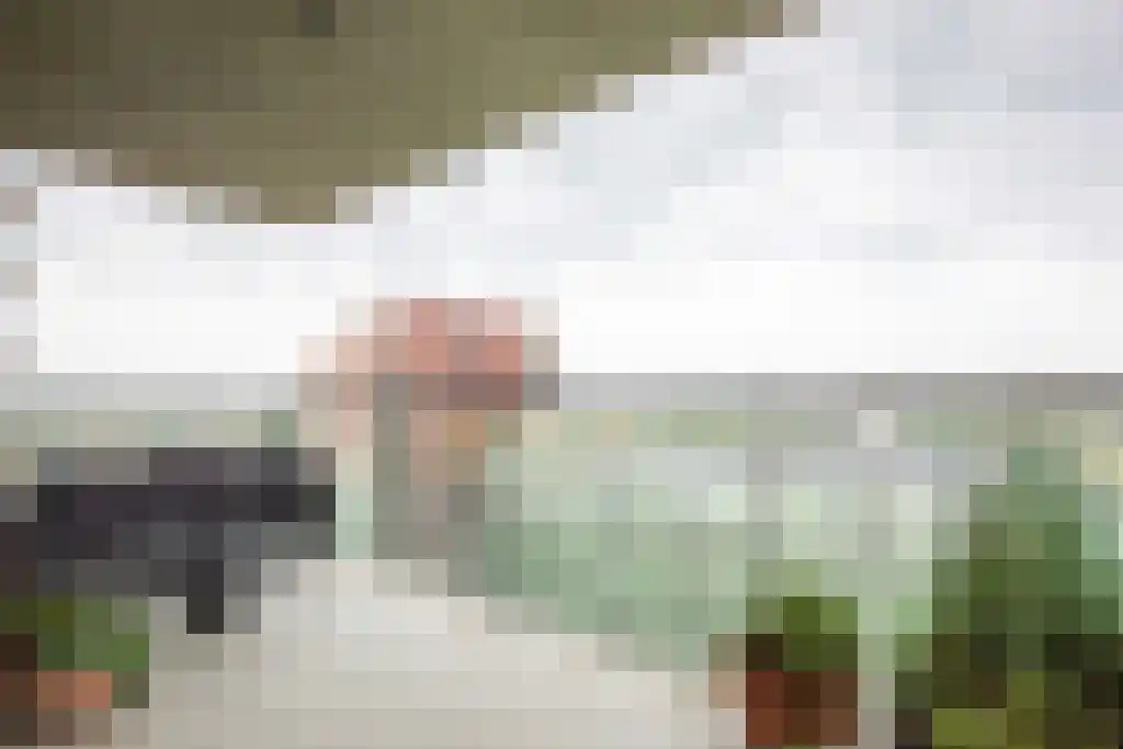 Mangoweg 255 Leiden thumbnail 19