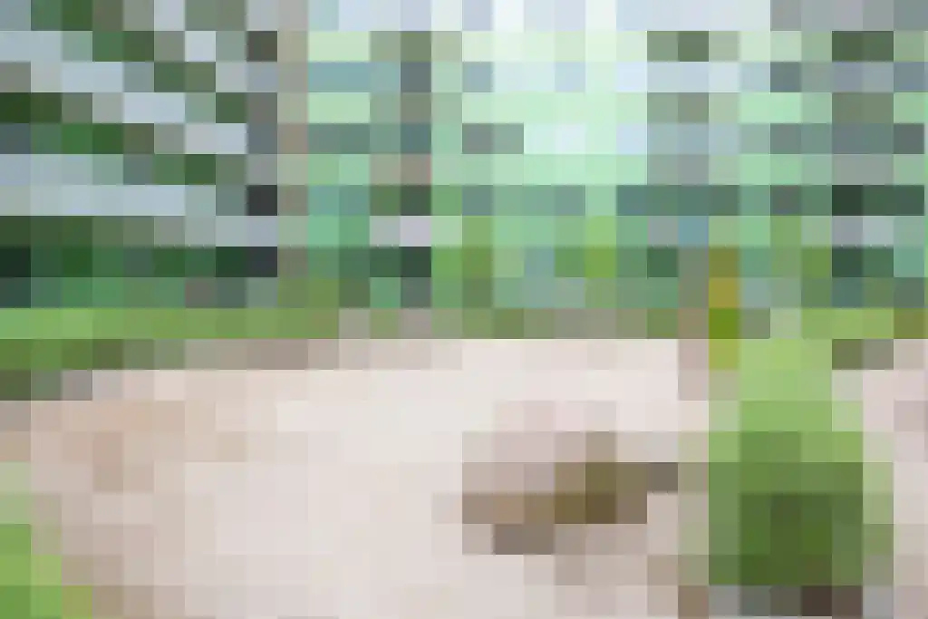 Mangoweg 255 Leiden thumbnail 26