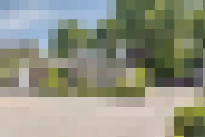 Mangoweg 271 Leiden thumbnail 40