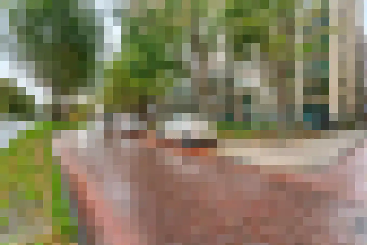 Mangoweg 29 Leiden thumbnail 4