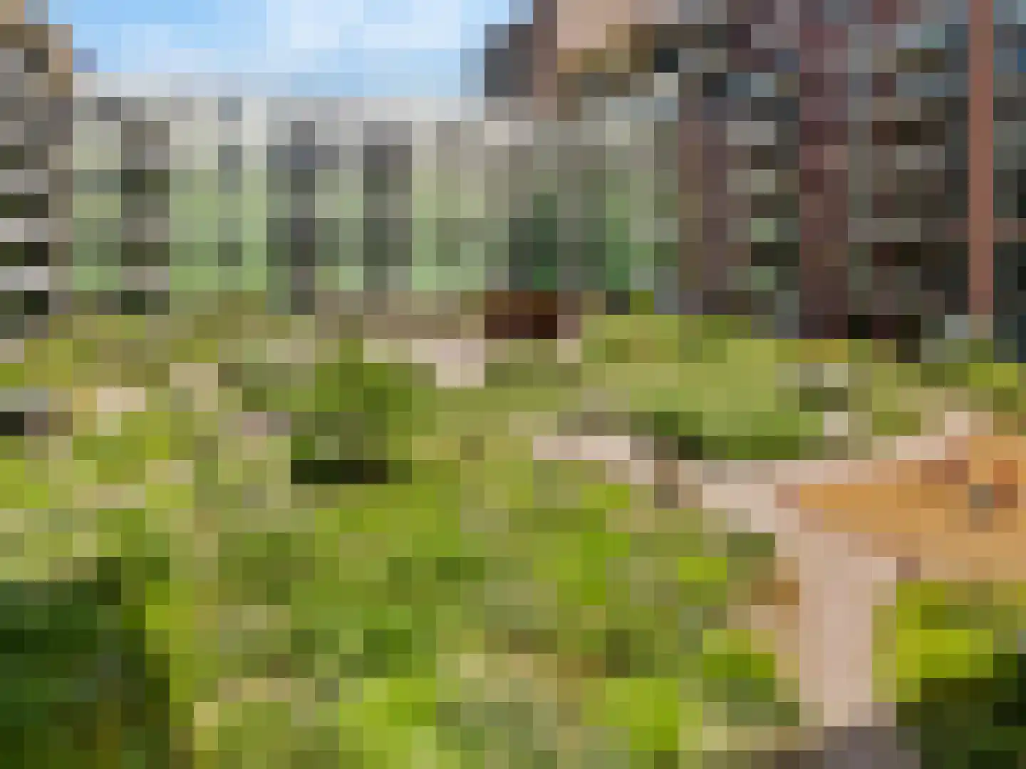 Mangoweg 297 Leiden thumbnail 31