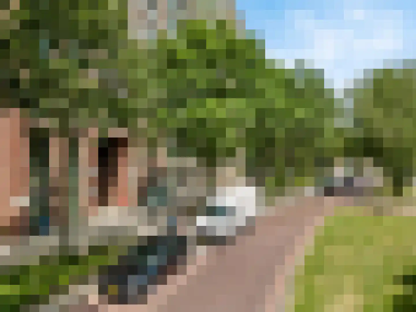 Mangoweg 297 Leiden thumbnail 33