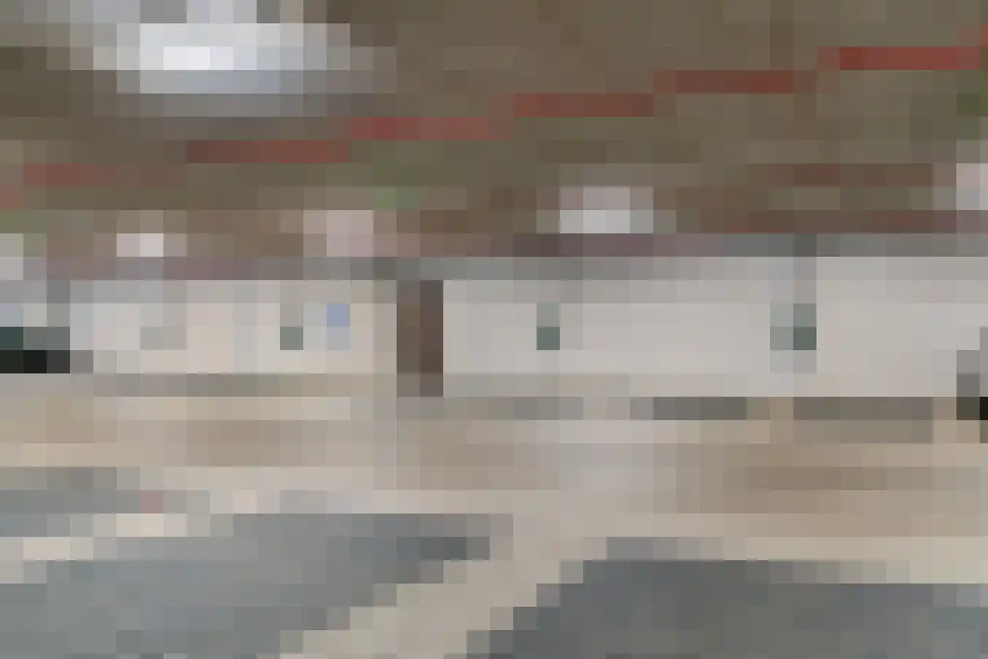 Mangoweg 297 Leiden thumbnail 35