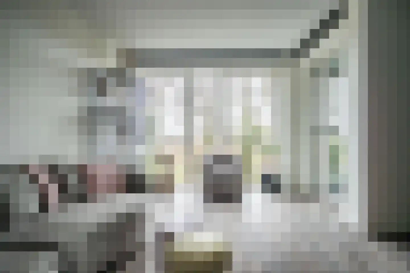 Mangoweg 31 Leiden thumbnail 10