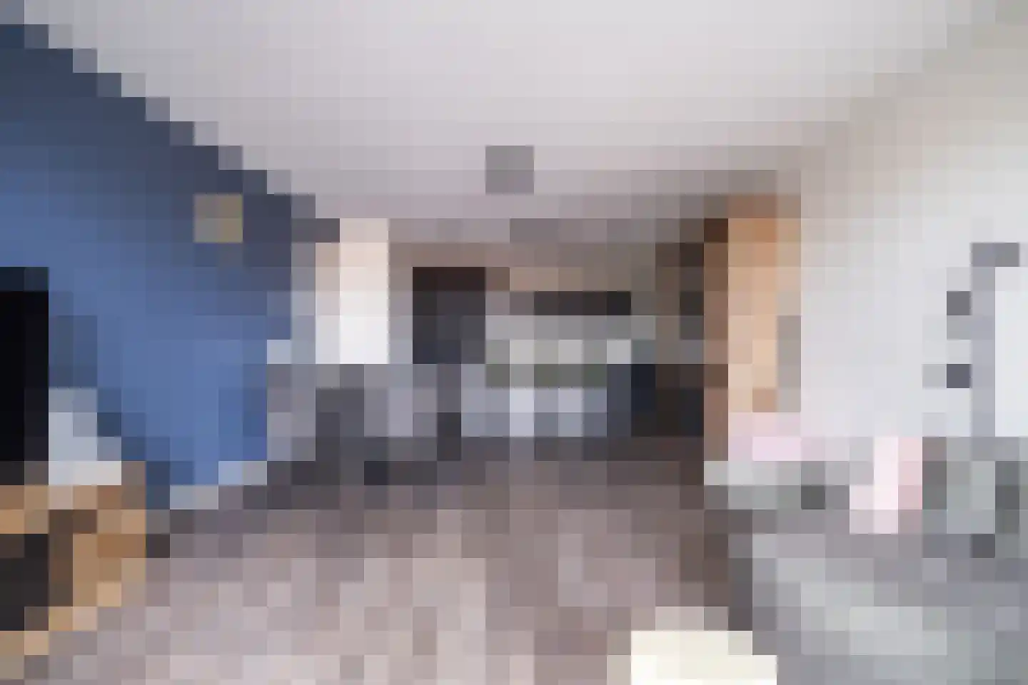 Mangoweg 31 Leiden thumbnail 13