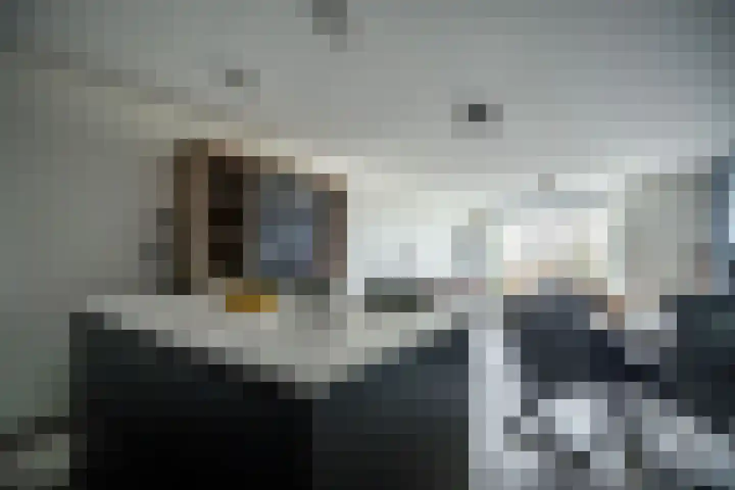 Mangoweg 31 Leiden thumbnail 6