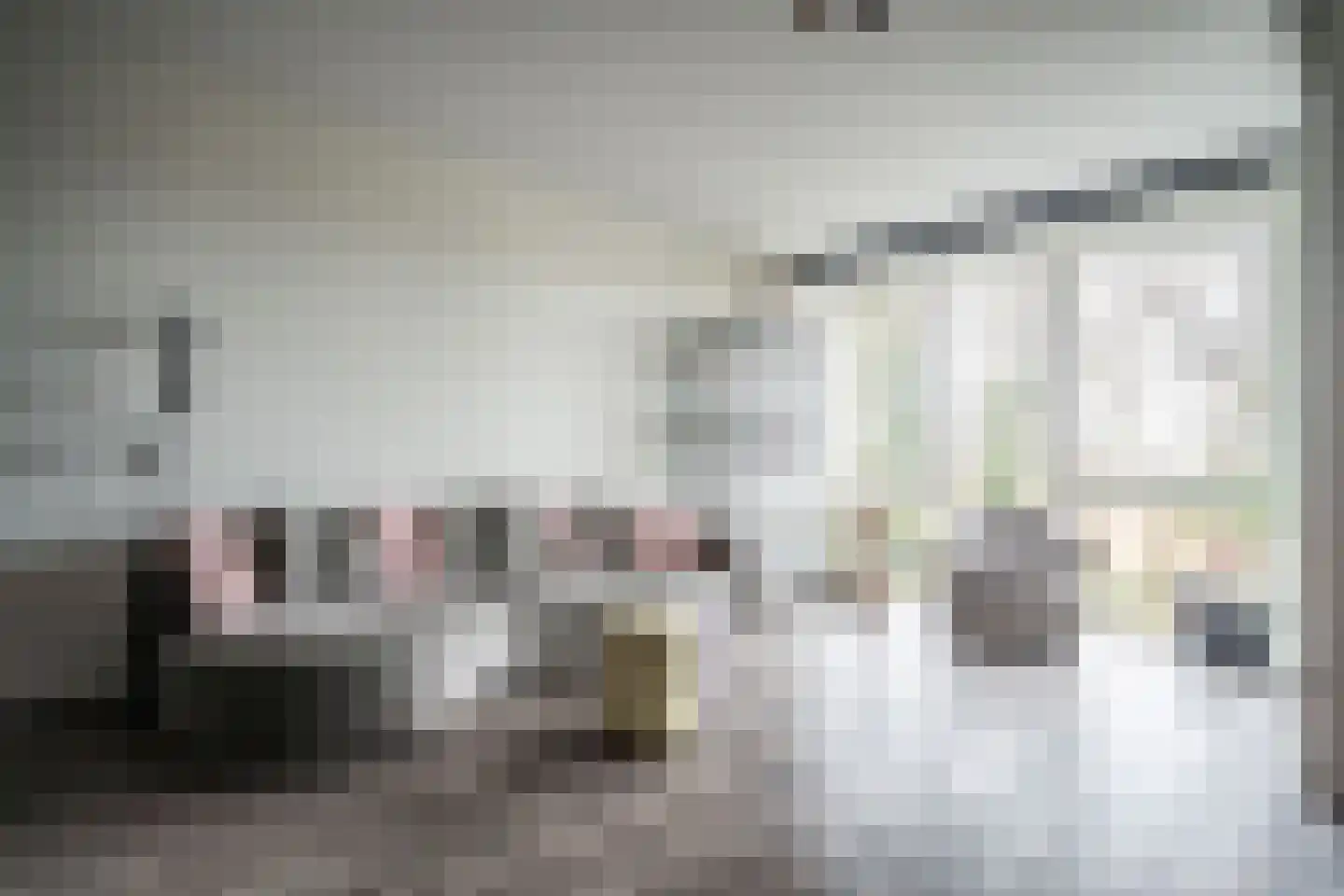 Mangoweg 31 Leiden thumbnail 8