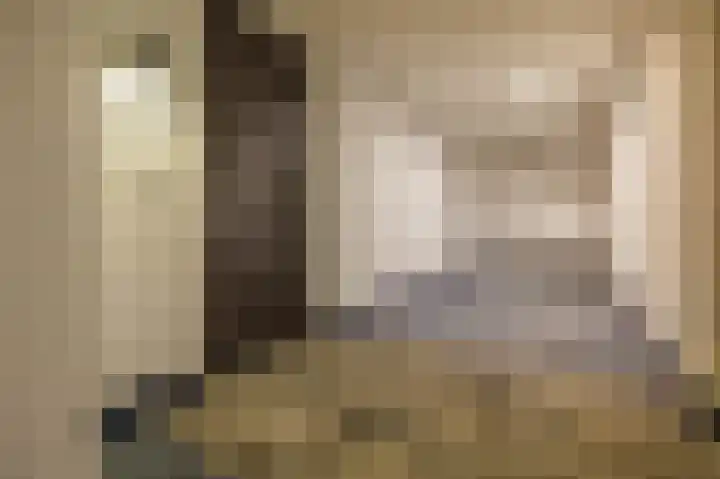 Mangoweg 33 Leiden thumbnail 31