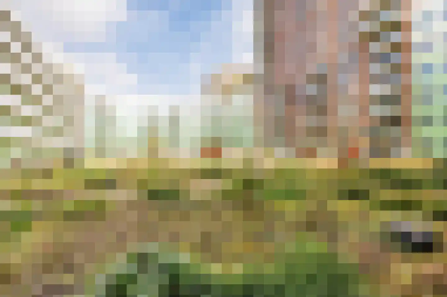 Mangoweg 33 Leiden thumbnail 34