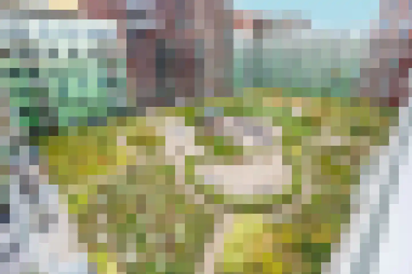 Mangoweg 33 Leiden thumbnail 35