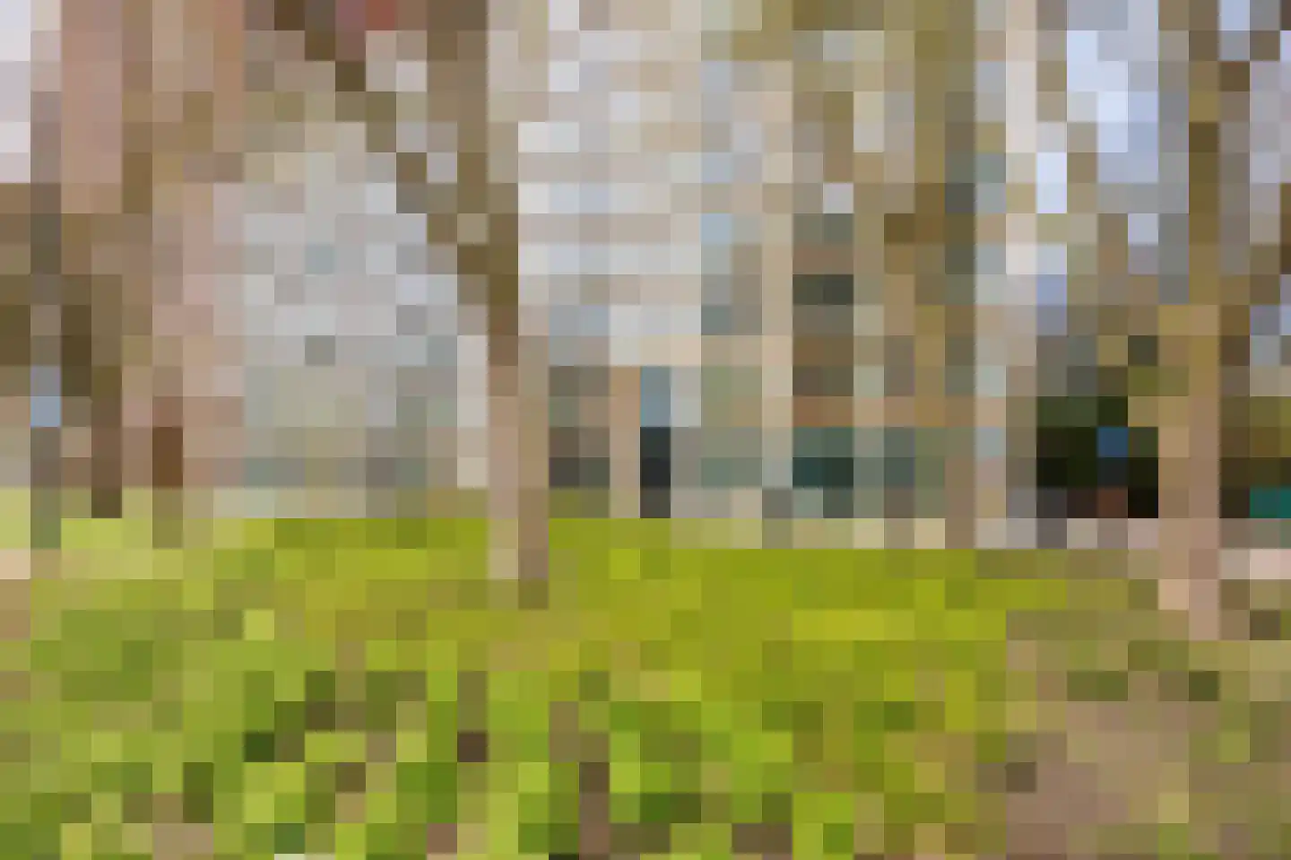 Mangoweg 33 Leiden thumbnail 37
