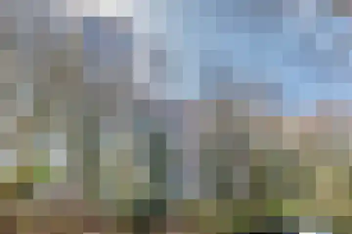 Mangoweg 33 Leiden thumbnail 38