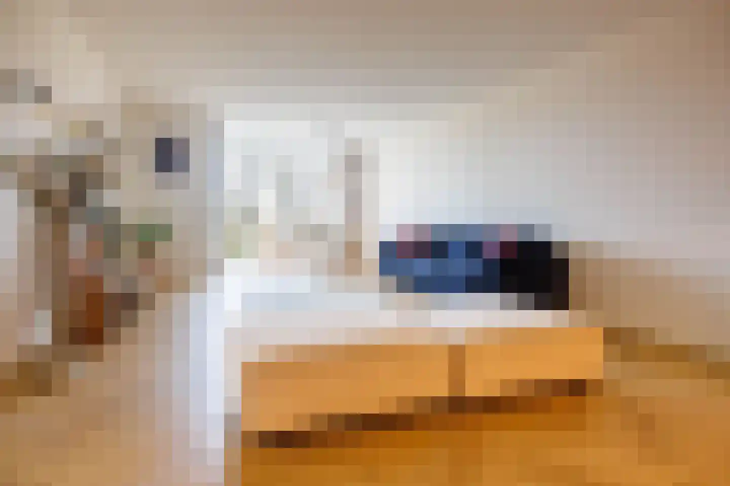 Mangoweg 33 Leiden thumbnail 4