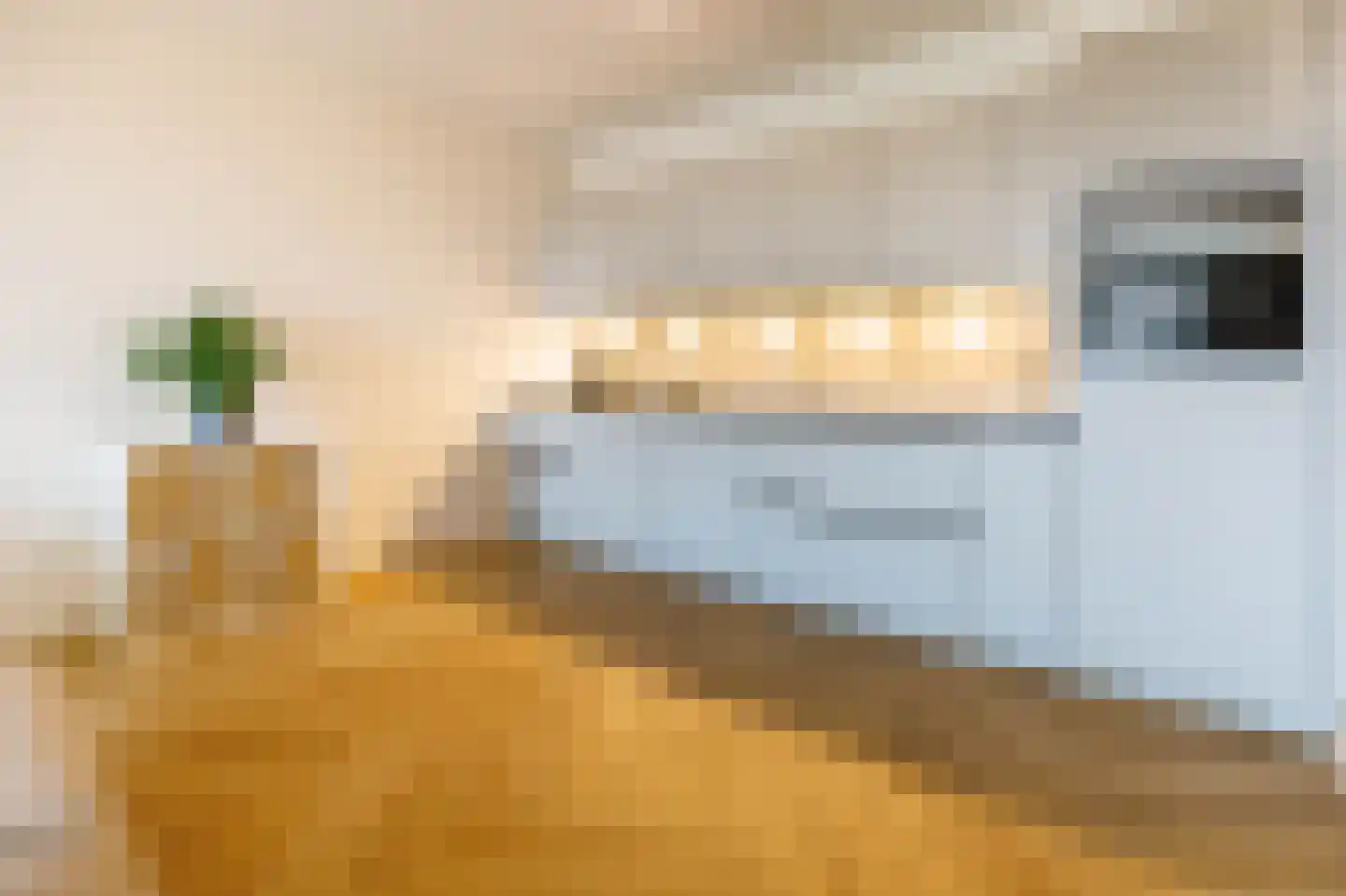 Mangoweg 33 Leiden thumbnail 9