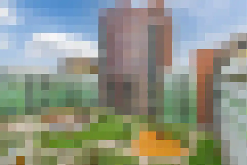 Mangoweg 347 Leiden thumbnail 5