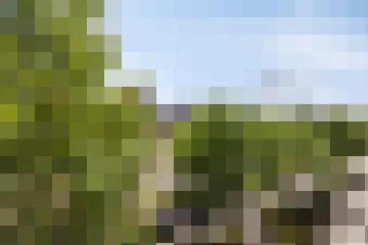 Mangoweg 59 Leiden thumbnail 33