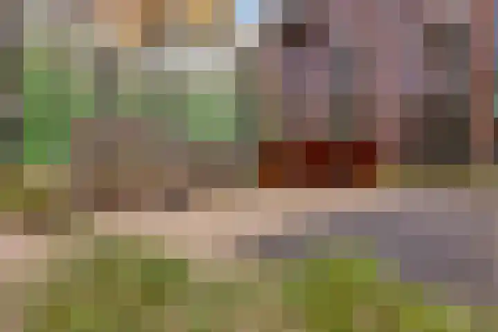 Mangoweg 59 Leiden thumbnail 39