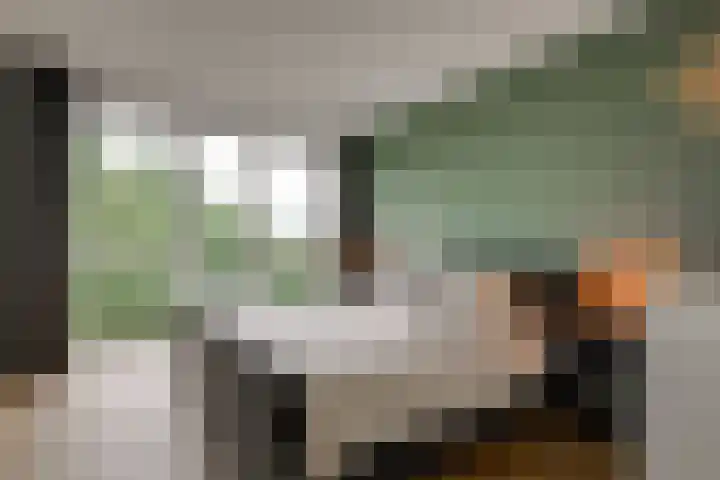 Mangoweg 75 Leiden thumbnail 34