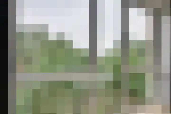 Mangoweg 75 Leiden thumbnail 36