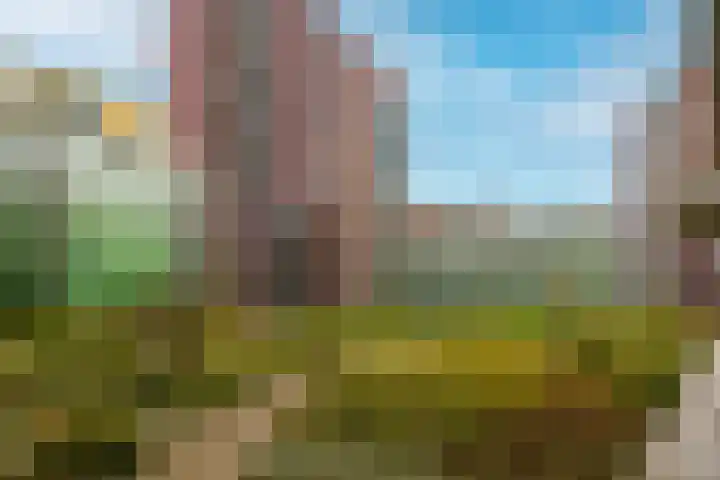 Mangoweg 75 Leiden thumbnail 45