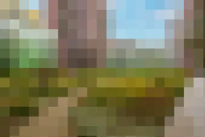 Mangoweg 75 Leiden thumbnail 46