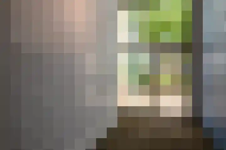 Mangoweg 75 Leiden thumbnail 6