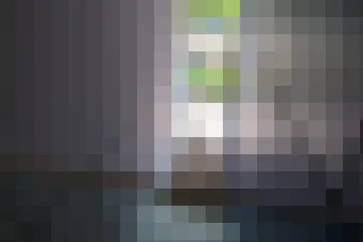 Mangoweg 75 Leiden thumbnail 8