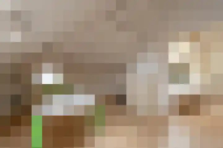 Manhille 2 Westmaas thumbnail 24