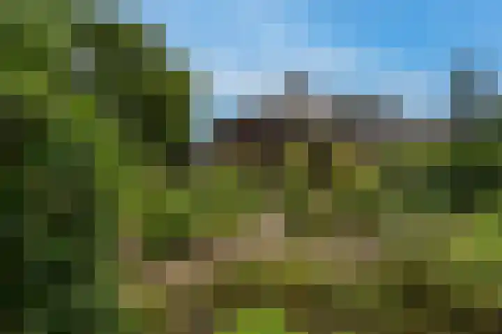 Manhille 2 Westmaas thumbnail 29