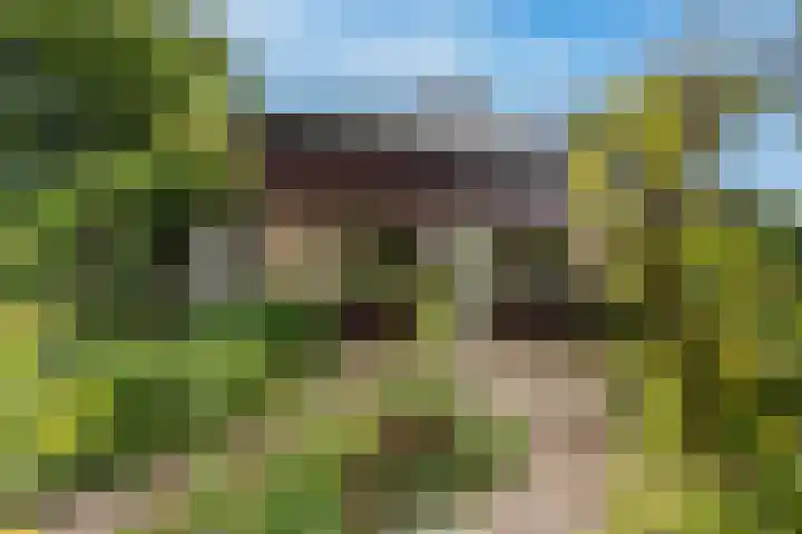 Manhille 2 Westmaas thumbnail 30