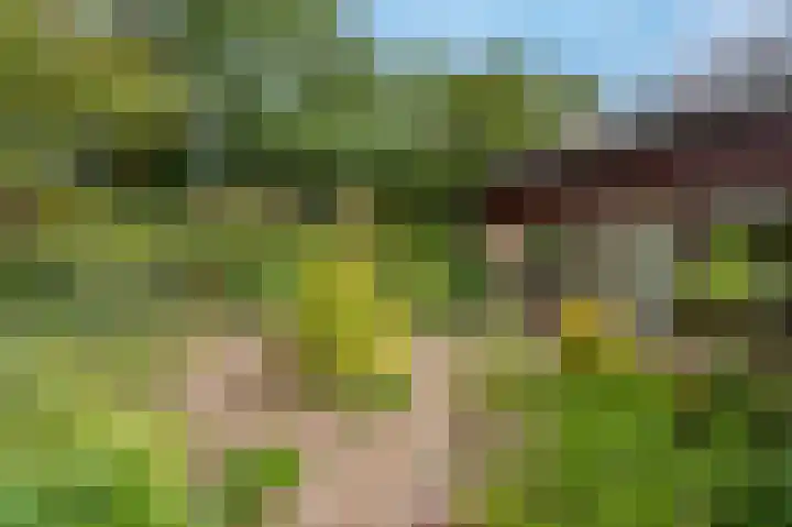 Manhille 2 Westmaas thumbnail 31