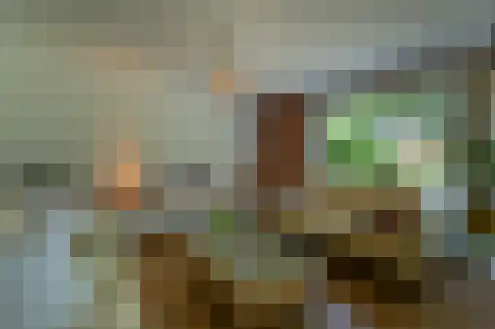 Manhille 2 Westmaas thumbnail 6