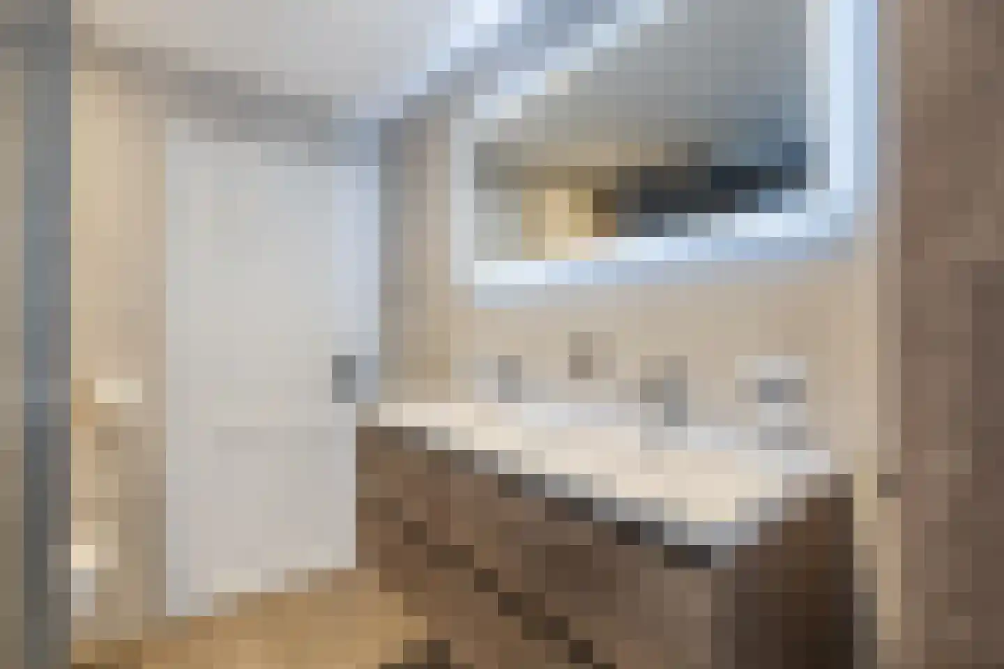 Manhuisveld 17 Breda thumbnail 22
