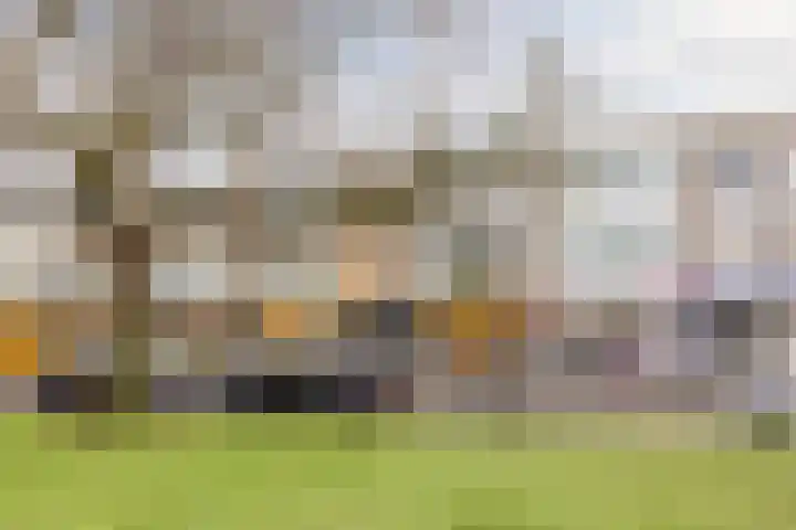 Manhuisveld 17 Breda thumbnail 35