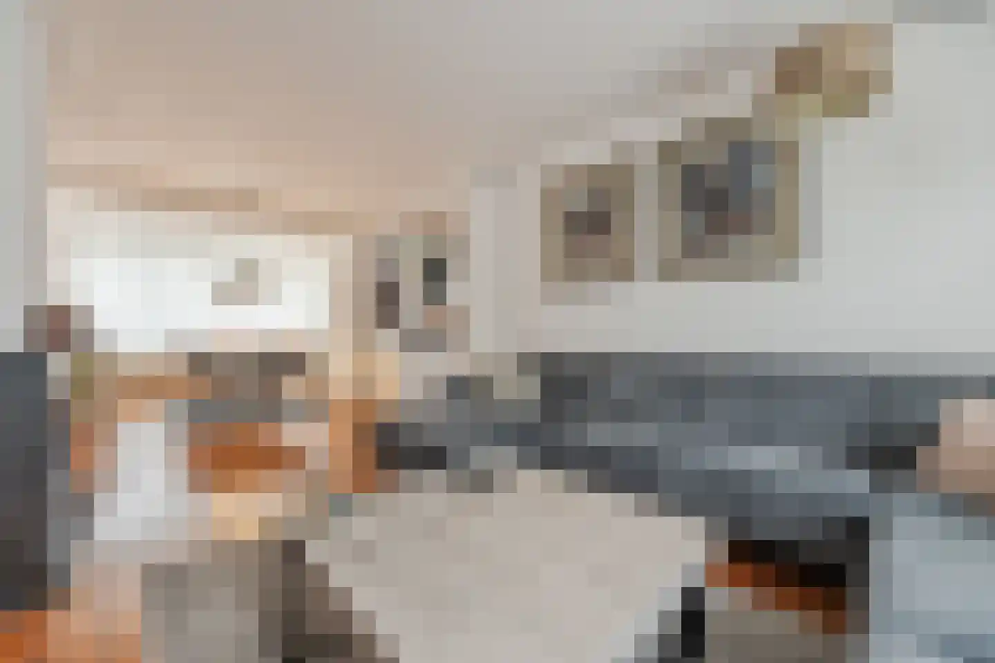 Manhuisveld 17 Breda thumbnail 5