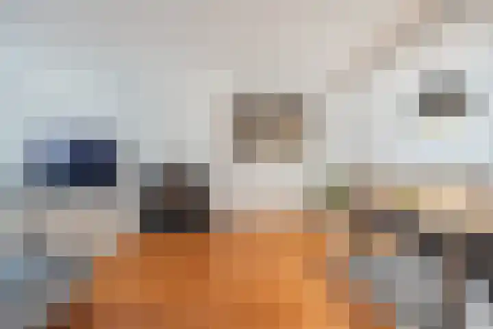 Manhuisveld 17 Breda thumbnail 6