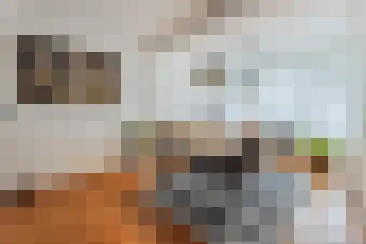 Manhuisveld 17 Breda thumbnail 8