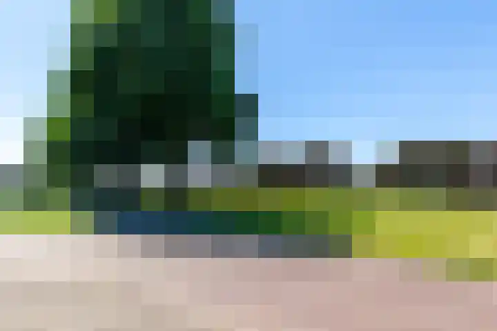 Manhuisveld 31 Breda thumbnail 26