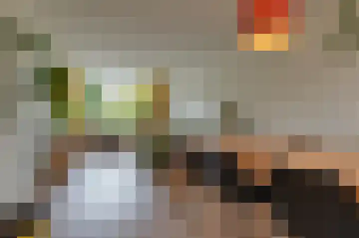 Maniladreef 14 Utrecht thumbnail 10