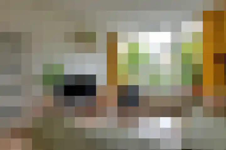 Maniladreef 14 Utrecht thumbnail 15