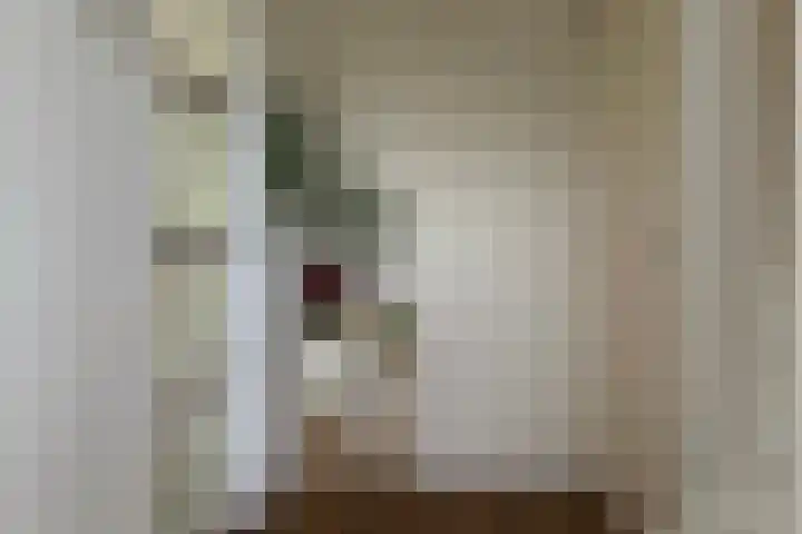 Maniladreef 14 Utrecht thumbnail 17